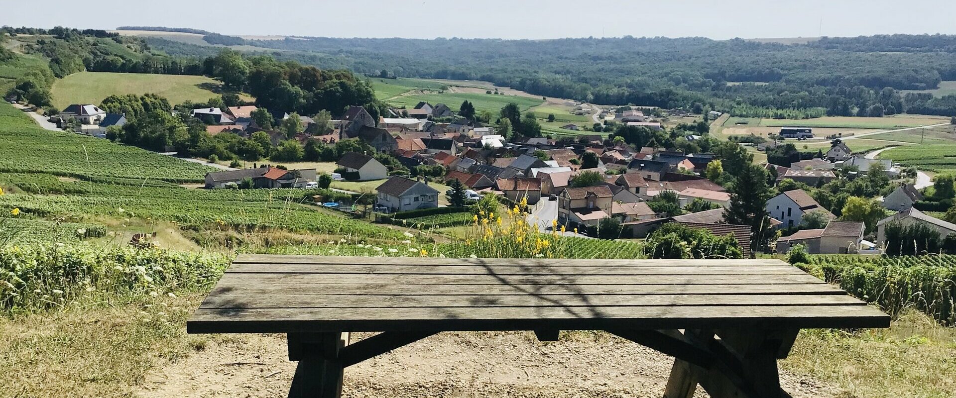 Bienvenue sur le site de la commune de Pévy dans la Marne (51)